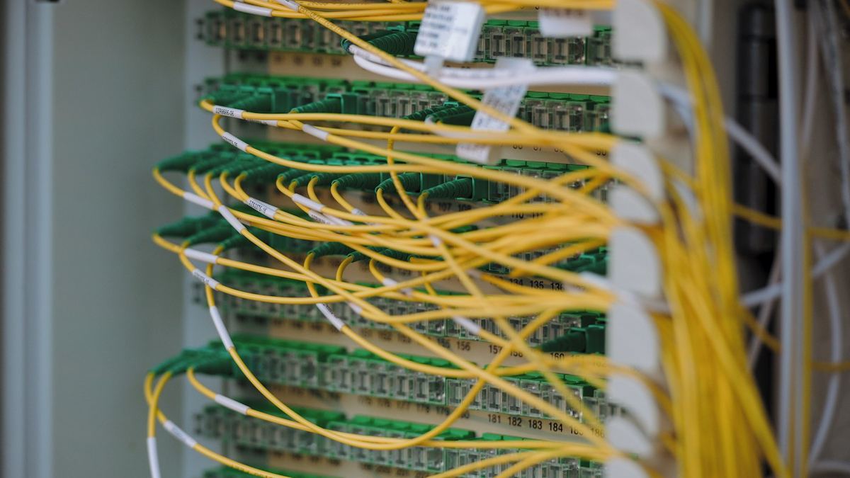 Fibre optic patch cables connected to a network panel